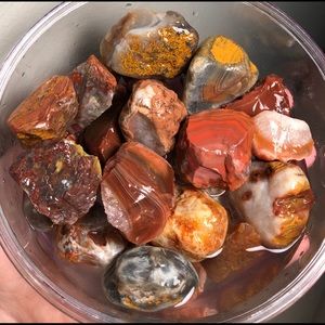 Meet your Posher, Allie